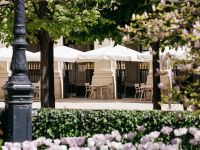 Terrasse - Restaurant du Palais Royal