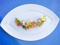 Plat Fresques
