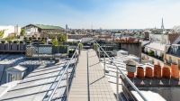 Rooftop Paname