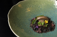 Mushroom Dish