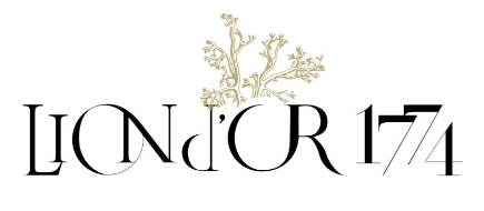Grand Htel du Lion d'Or