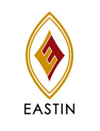 Logo Eastin